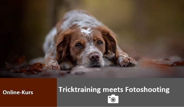 Online-Kurs "Tricktraining meets Fotoshooting" - Start: 18.11.2022